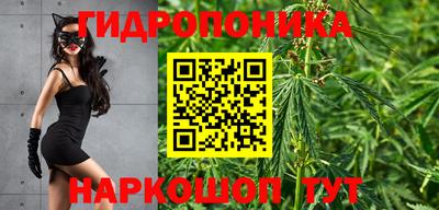 ECSTASY Моздок