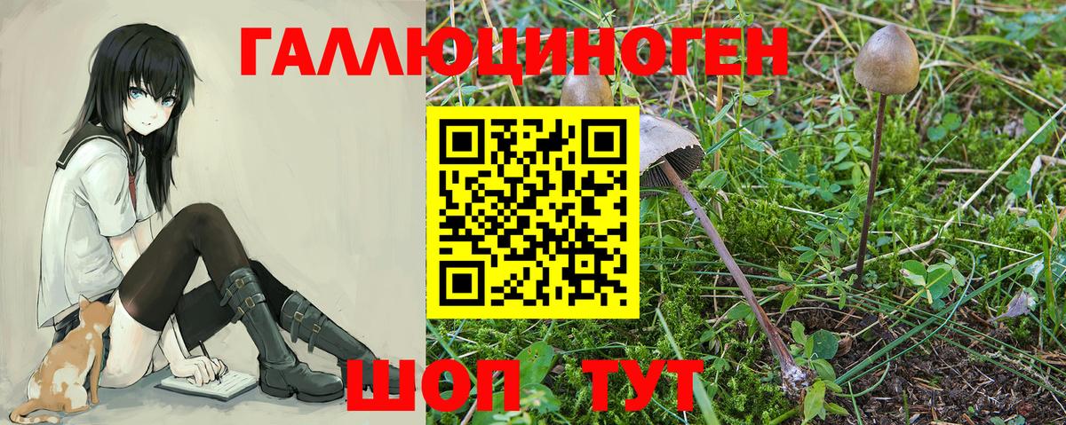 Псилоцибиновые грибы Magic Shrooms  Вход с VPN  Истра 