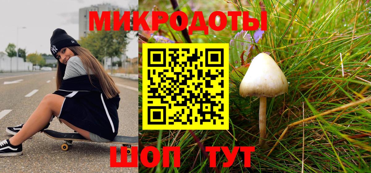 Галлюциногенные грибы Psilocybine cubensis Истра